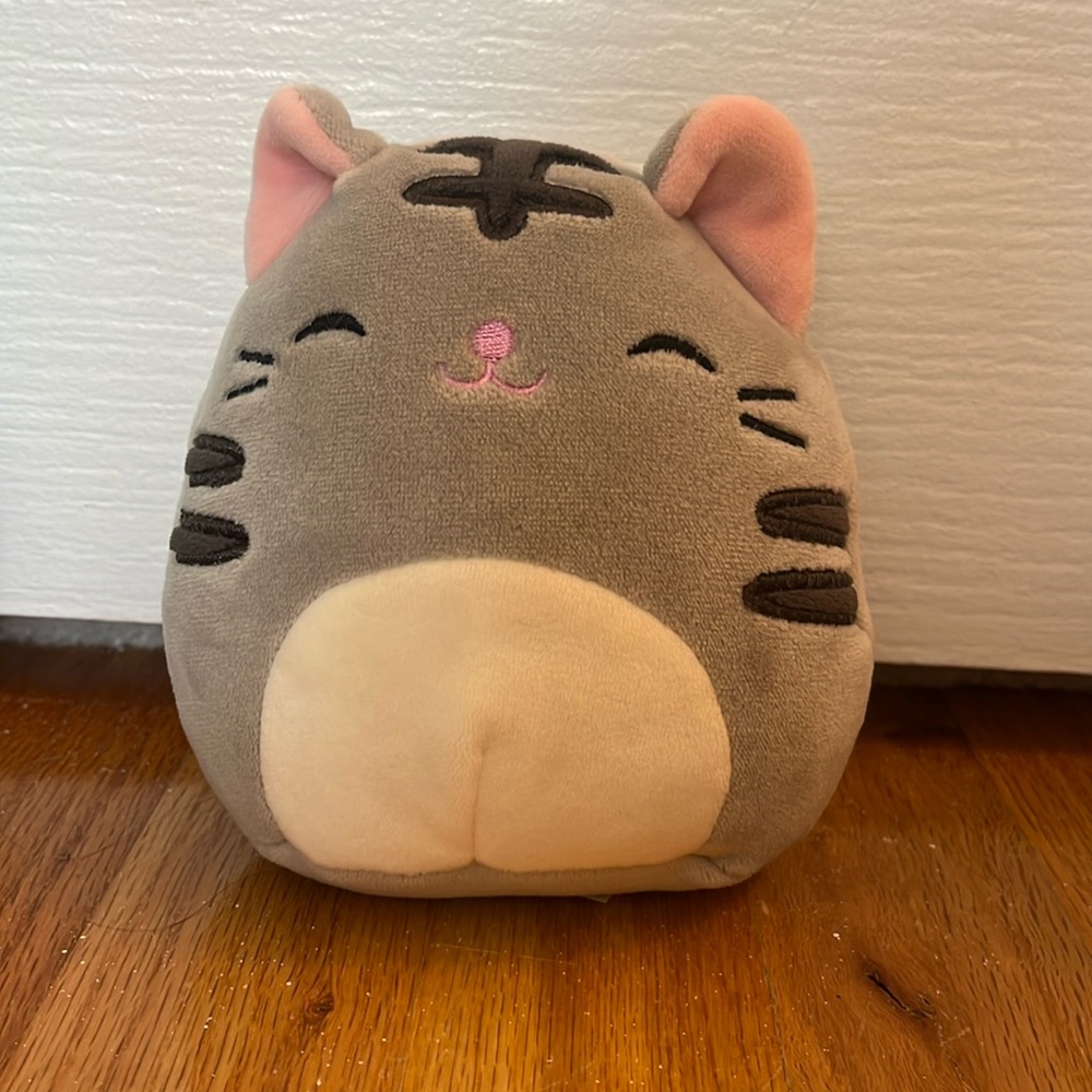 rare tabby cat squishmellow